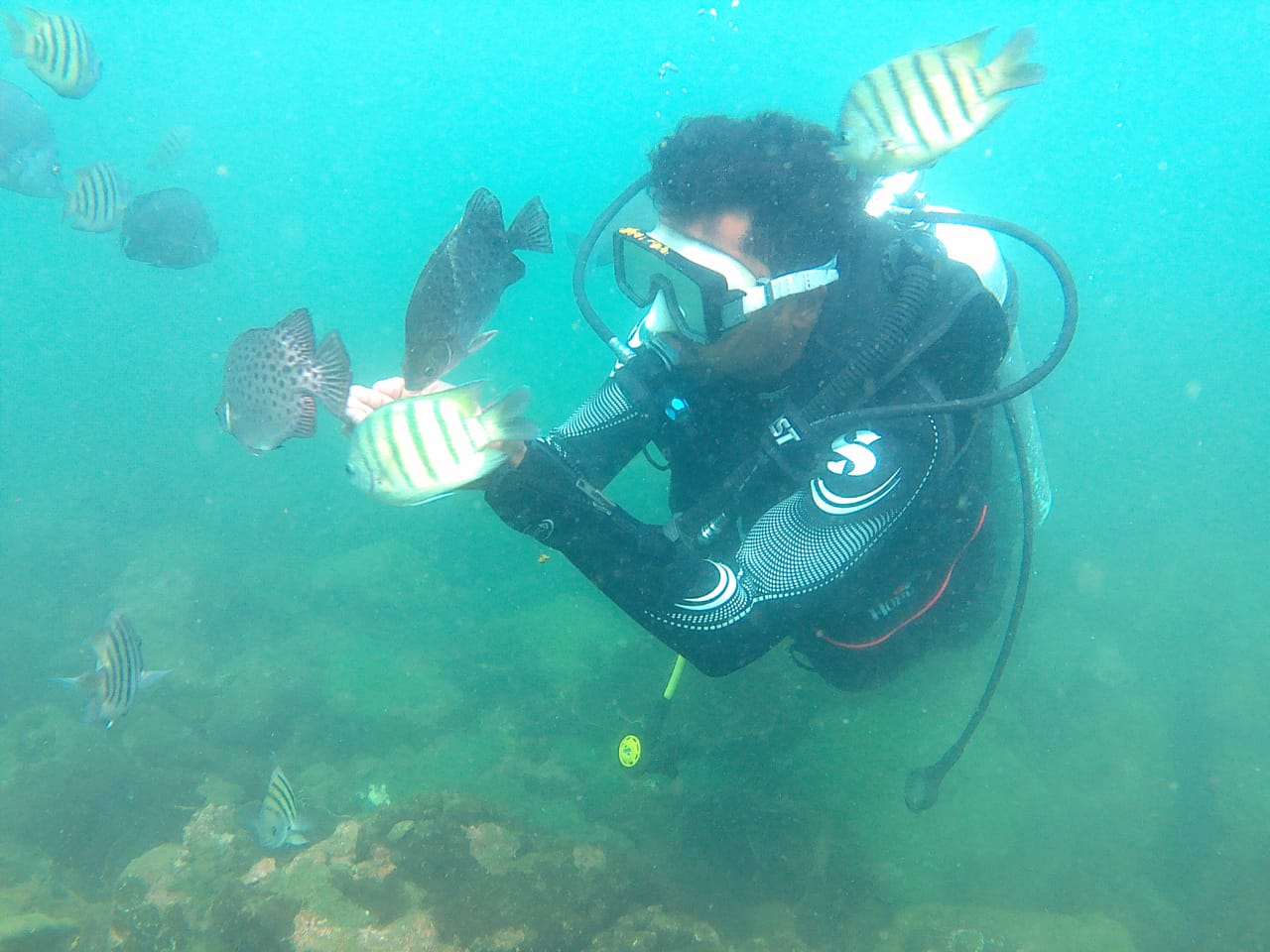 Scuba Malvan