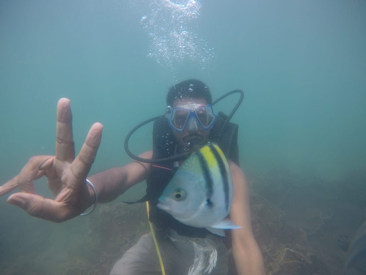 Scuba Malvan