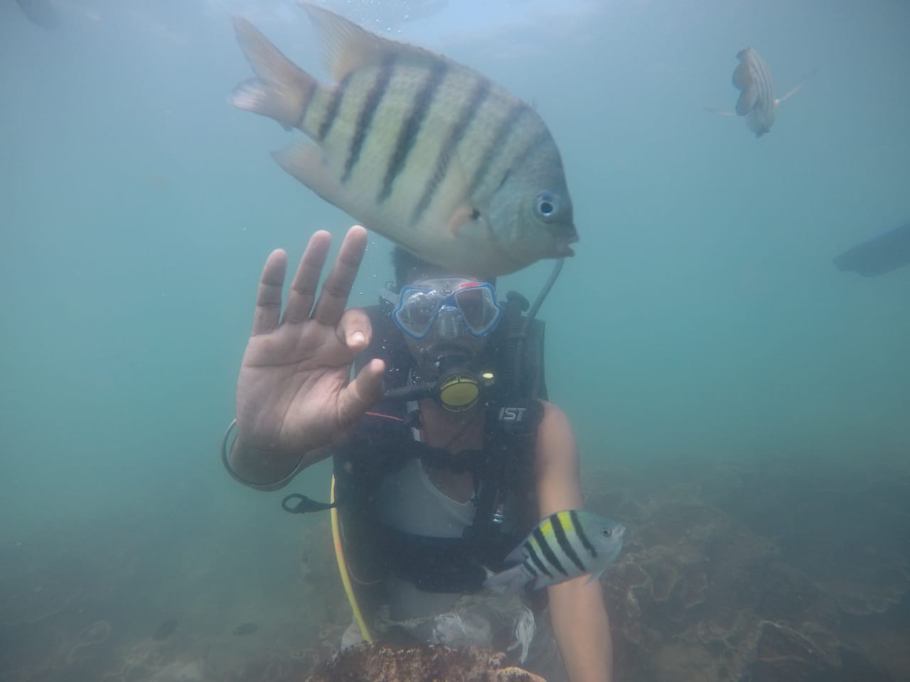 Scuba Malvan
