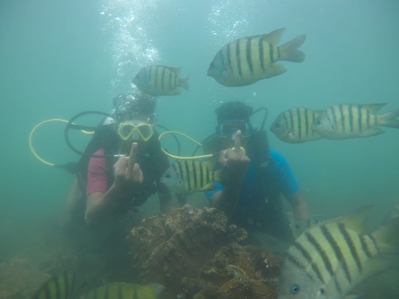 Scuba Malvan