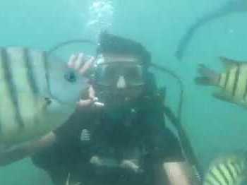 Scuba Malvan