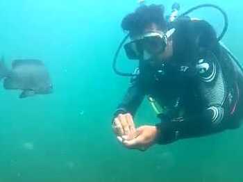 Scuba Malvan